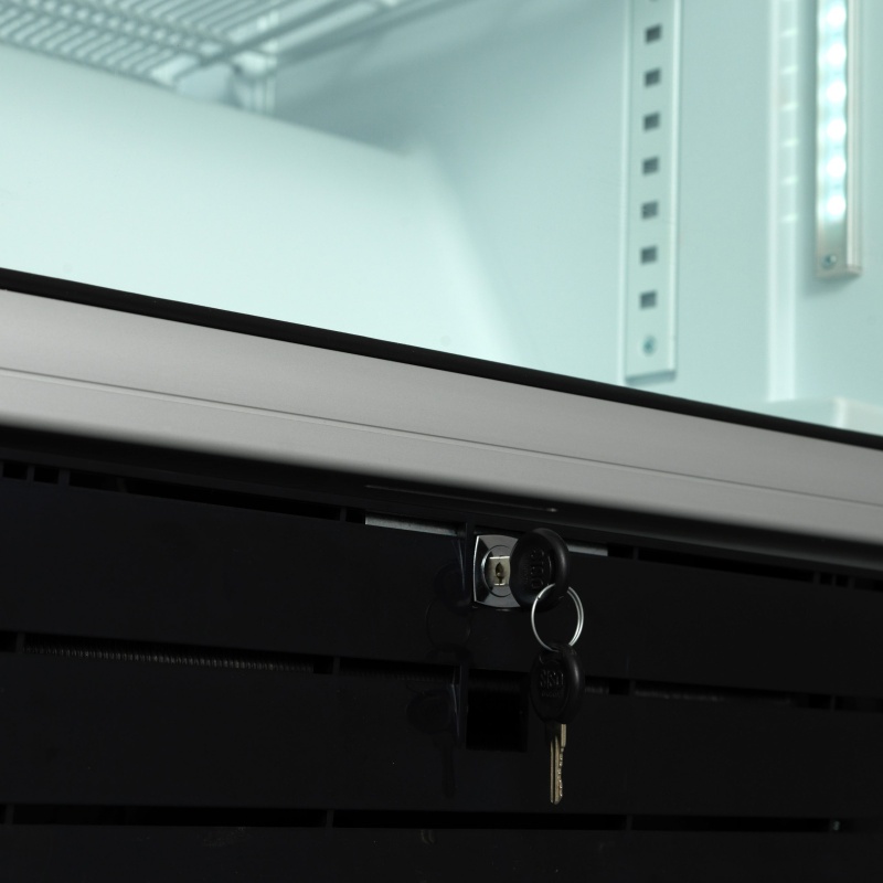 Vitriinkülmik SNAIGE CD48DM-S300AD