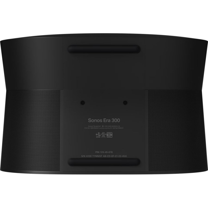 ERA 300 Black-6.jpg