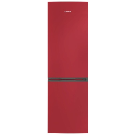 Külmik SNAIGE RF58SM-S5RB2E