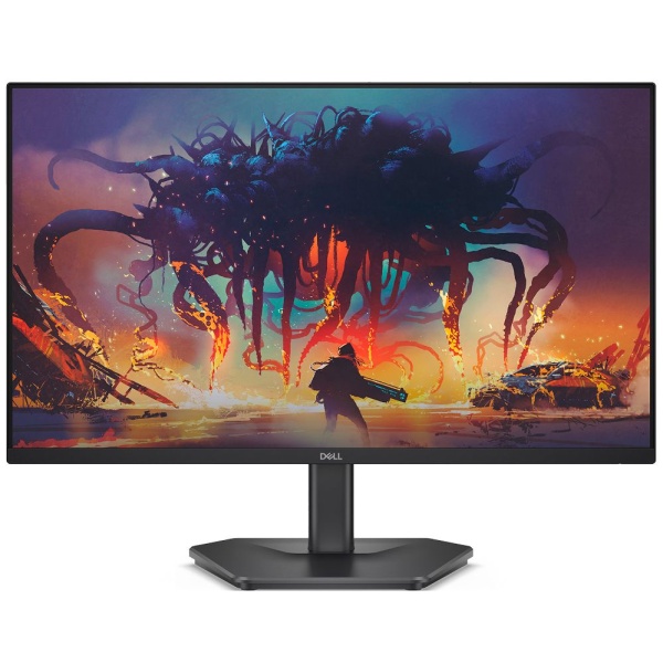 24" Full HD LCD Monitor DELL SE2425HG, 210-BSNR