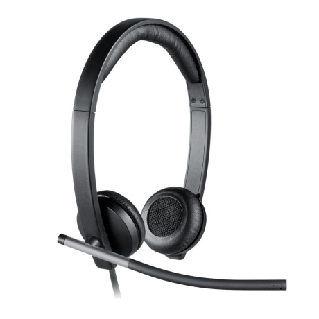 Kõrvaklapid LOGITECH H650E 981-000519