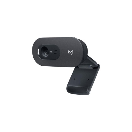 Veebikaamera LOGITECH C505E HD