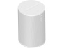 ERA 100 White.jpg