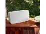 Five White-3.jpg