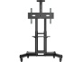 TS1551-B.jpg