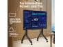 TS2081-B-1.jpg