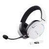 GXT491 W.jpg