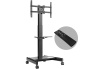 Screen Trolley (43-75") ONKRON TS1552E-B