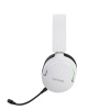 GXT491W