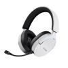 GXT491W