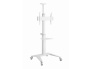Ekraanialus ratastel (37-70") GEMBIRD TVS-70T-02-W