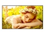 65" LED Signage Screen LG 65UL5Q-E