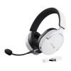 GXT491W