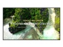 55" LED Signage Screen LG 55UL3Q-E