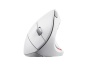 Hiir TRUST VERTO ERGONOMIC WHITE